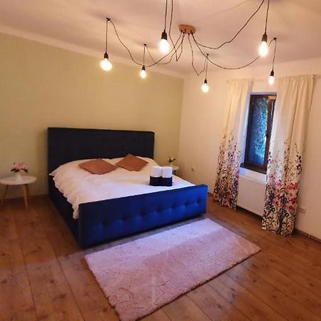 Home Central Apartment 브라쇼브 외부 사진